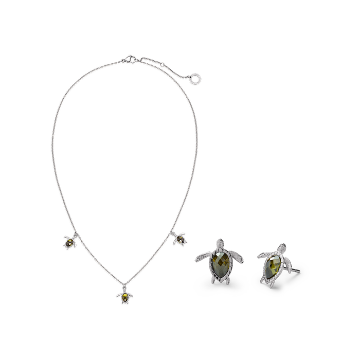 Set Turtle Silber
