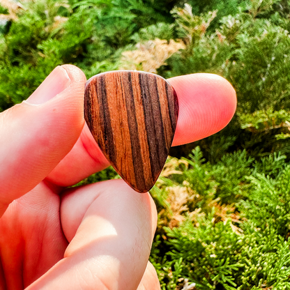 Thalia 351 Shape | Rosewood 3.0 Pick Pack – product image 5