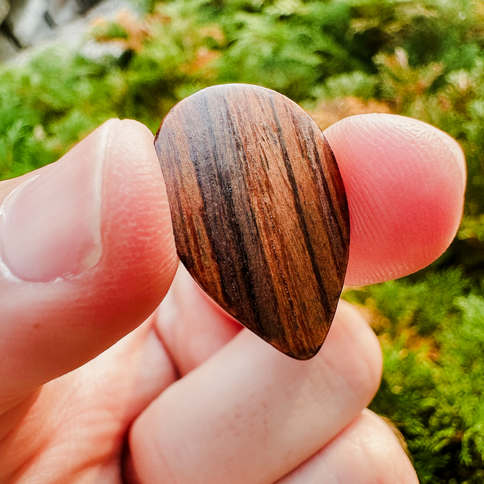 Thalia 358 Shape | Rosewood 3.0 Pick Pack – product image 5