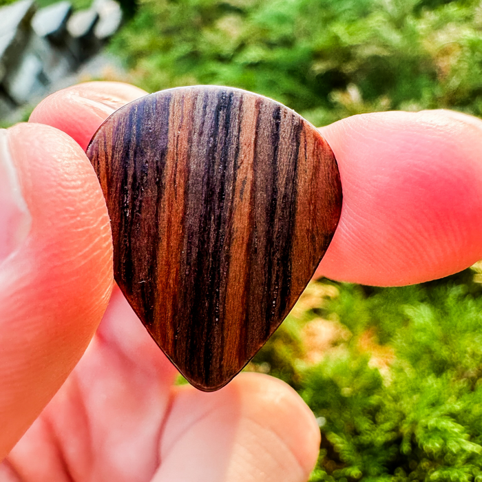 Thalia 651 Shape | Rosewood 3.0 Pick Pack – product image 5