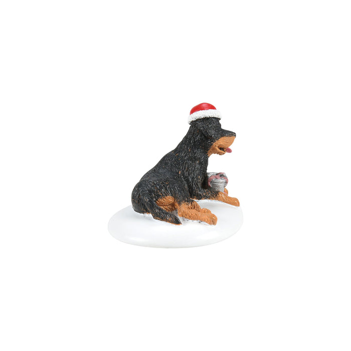 A Perfect Gift For Snots