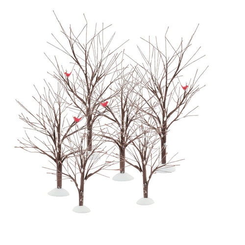 Bare Branch Tree