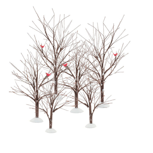 Bare Branch Tree