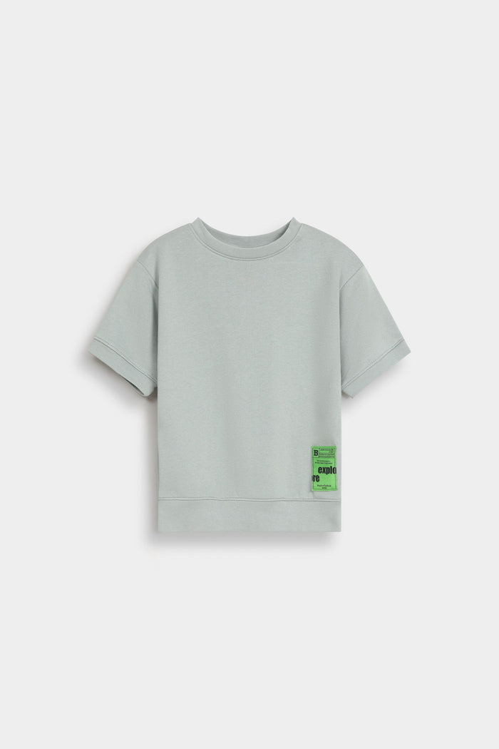 Dull Green