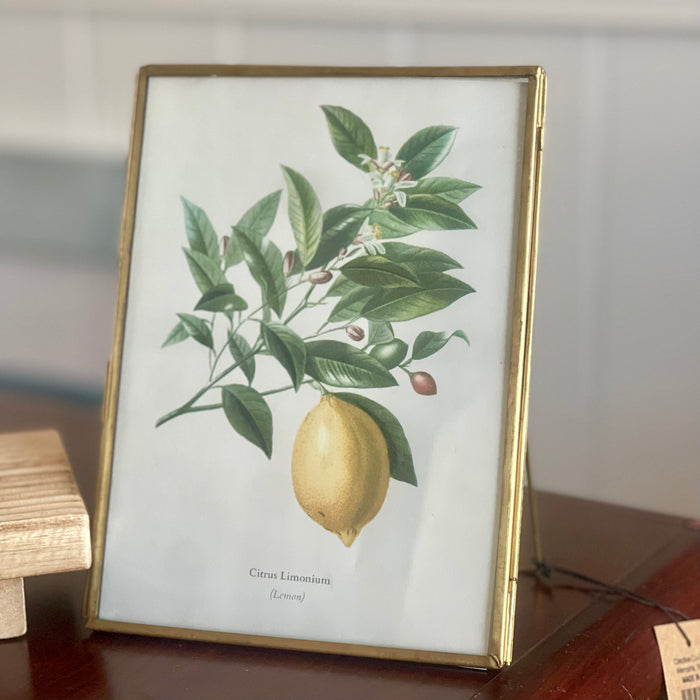 Brass and Glass Photo Frame