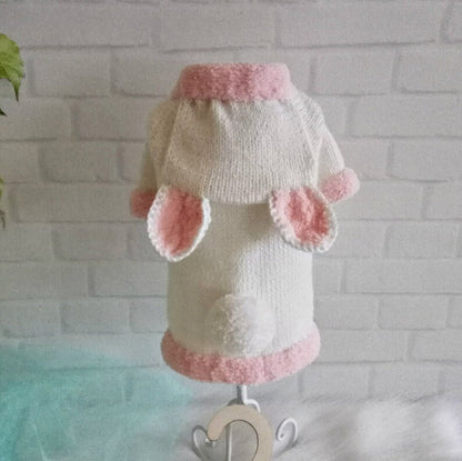 Bunny Rabbit Dressed as a Puppy Dog Sweater