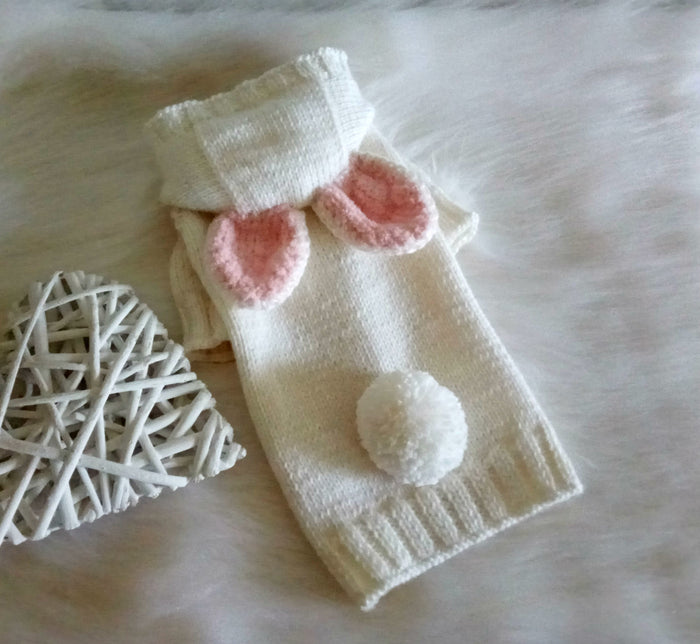 Bunny Rabbit Dressed as a Puppy Dog Sweater