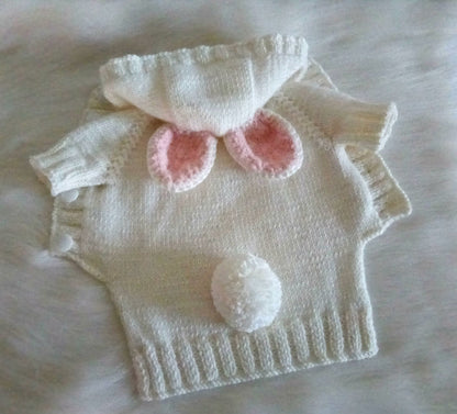 Bunny Rabbit Dressed as a Puppy Dog Sweater