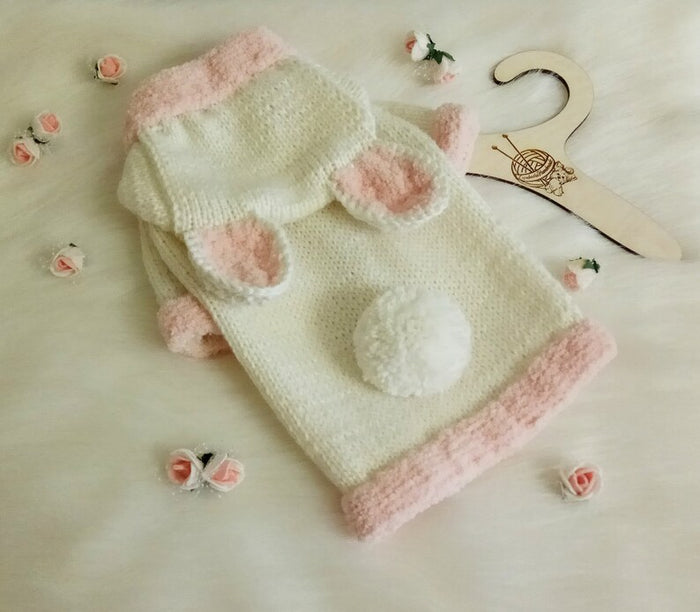 Bunny Rabbit Dressed as a Puppy Dog Sweater