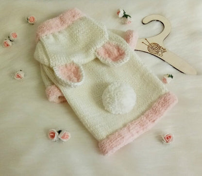 Bunny Rabbit Dressed as a Puppy Dog Sweater