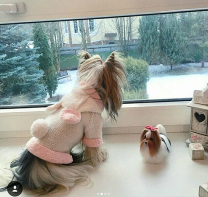 Bunny Rabbit Dressed as a Puppy Dog Sweater