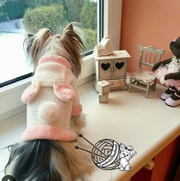 Bunny Rabbit Dressed as a Puppy Dog Sweater