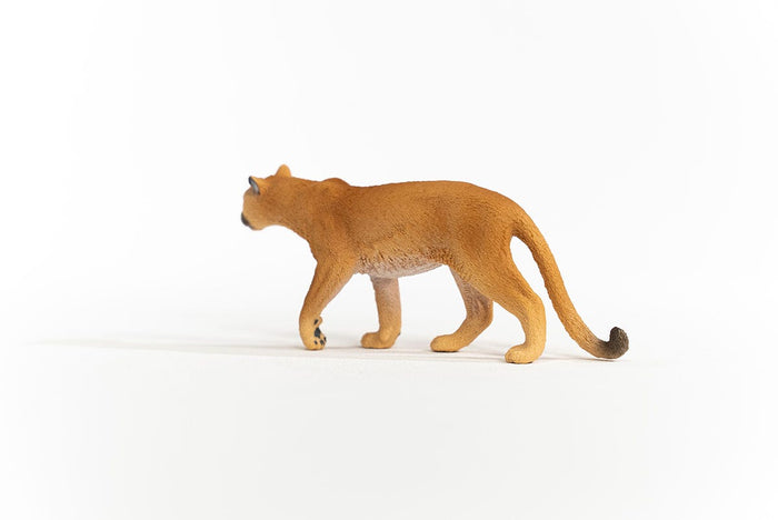 Cougar