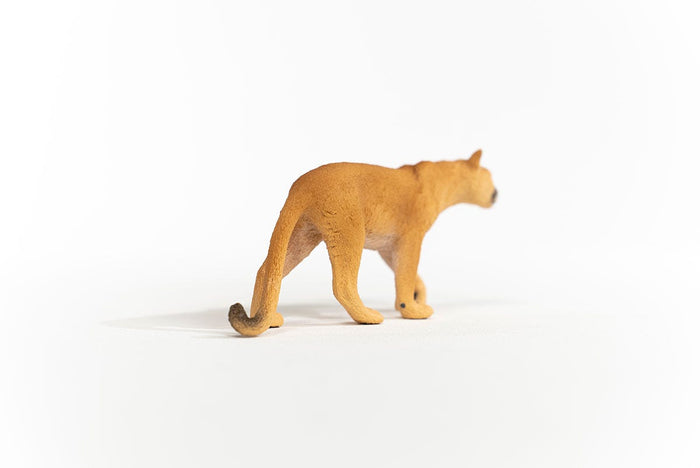 Cougar