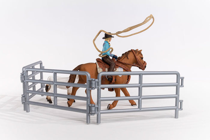 Cowgirl Team Roping Fun