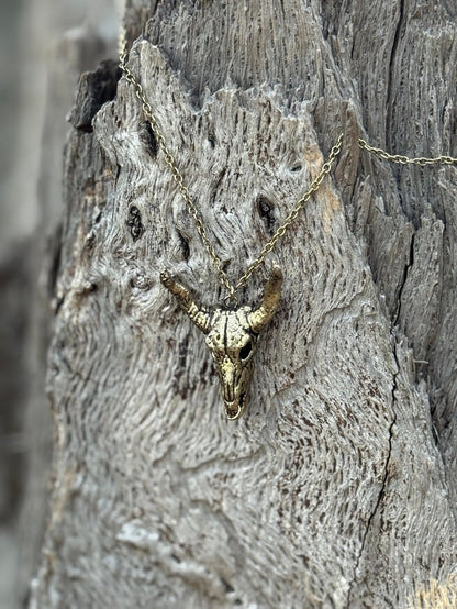 Desert Steer Skull Pendant NecklaceSilver
