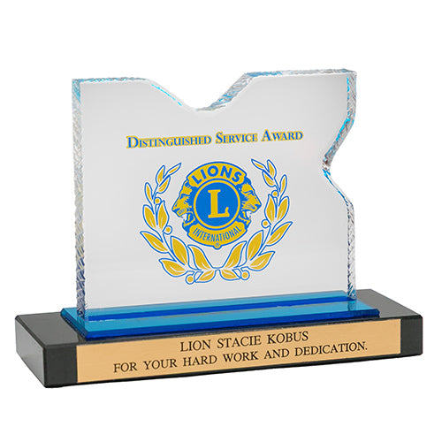 DISTINGUISHED SERVICE AWARD