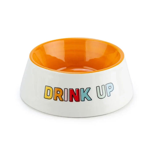 Drink Up Ceramic Pet Bowl