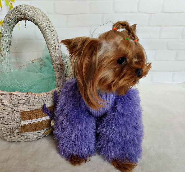 XXSmall / Purple