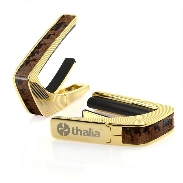24K Gold / Circles