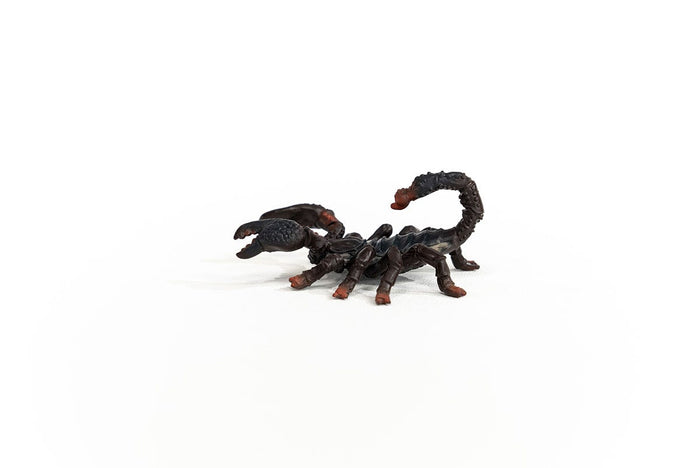Emperor Scorpion