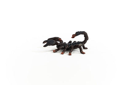 Emperor Scorpion