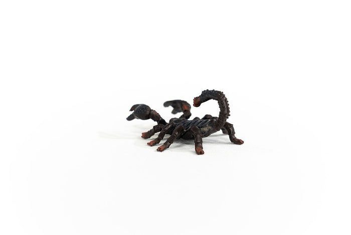 Emperor Scorpion