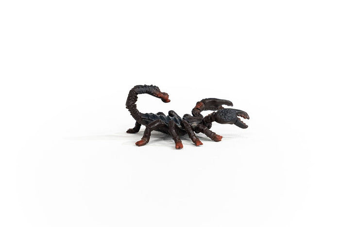 Emperor Scorpion