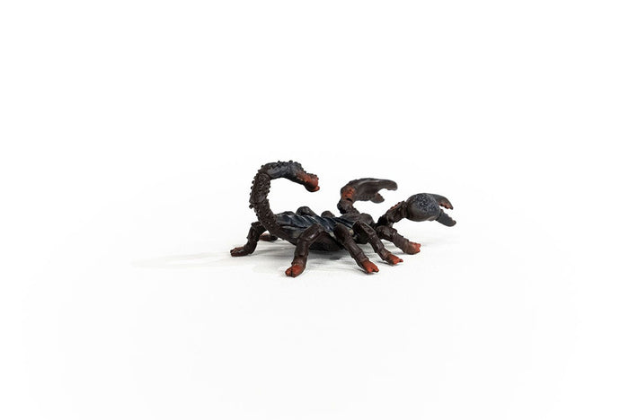 Emperor Scorpion