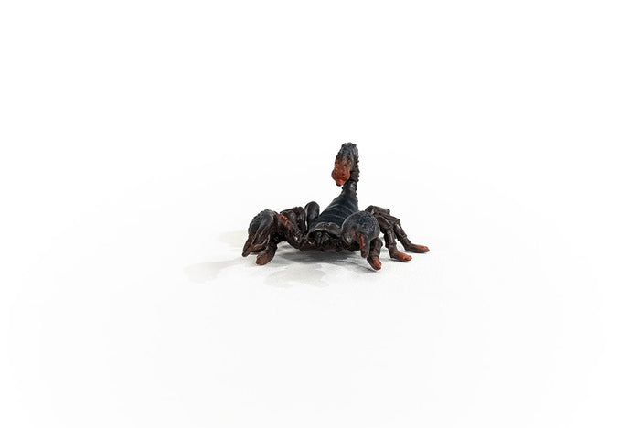 Emperor Scorpion