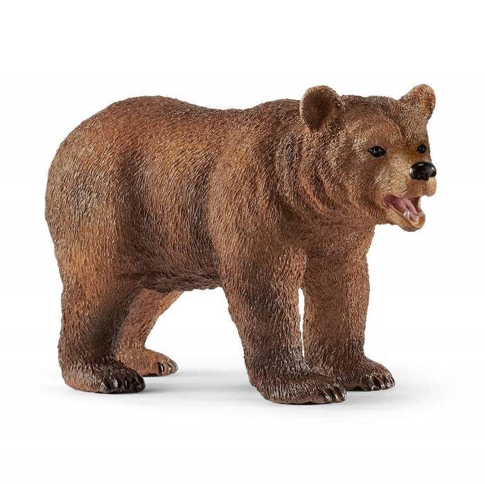 Grizzly bear mother with cub