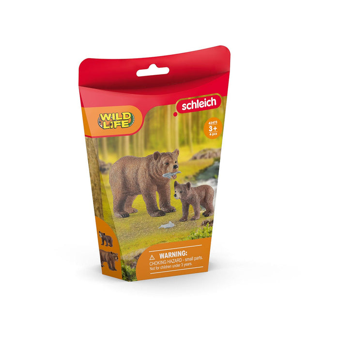 Grizzly bear mother with cub