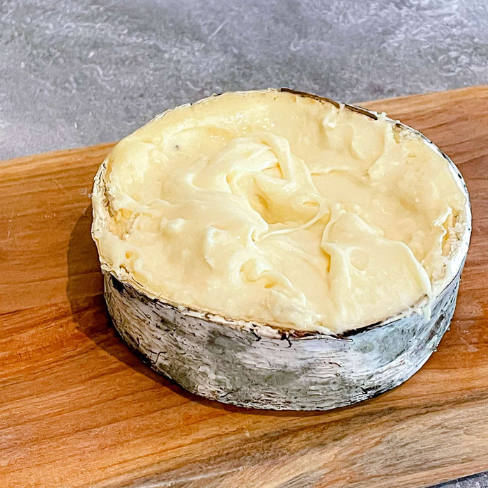 HARBISON / Jasper Hill Farm / Vermont / Past. Cow / Soft-Ripened