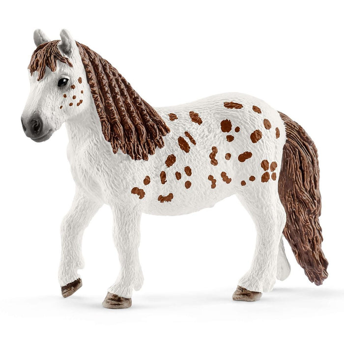 HORSE CLUB Mia & Spotty
