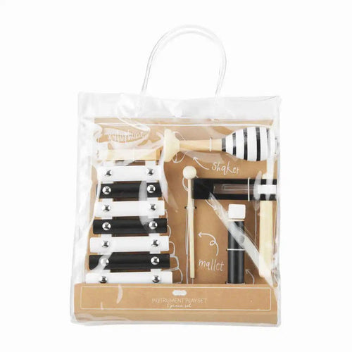 Instrument Play Set