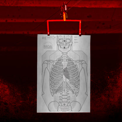 Kill Zone Target