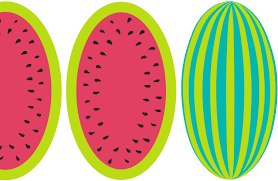 Melon Moderne Placemats