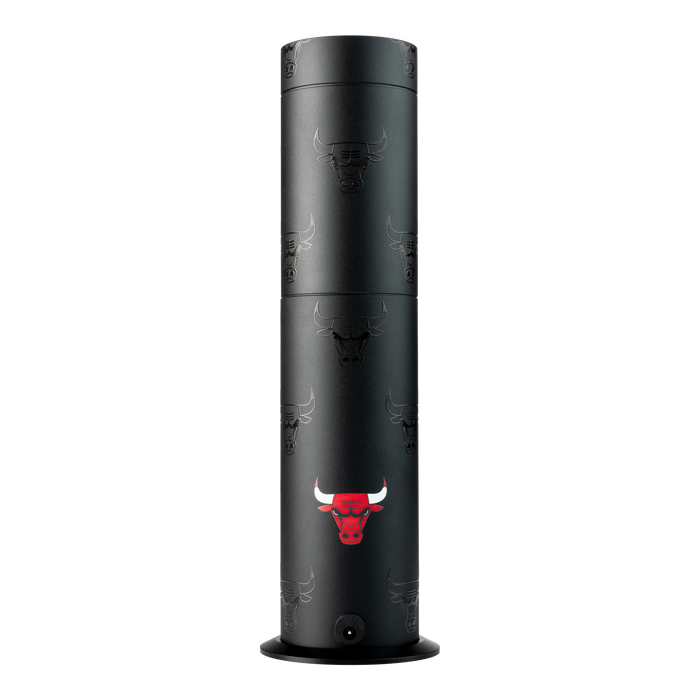 Chicago Bulls