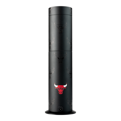 Chicago Bulls