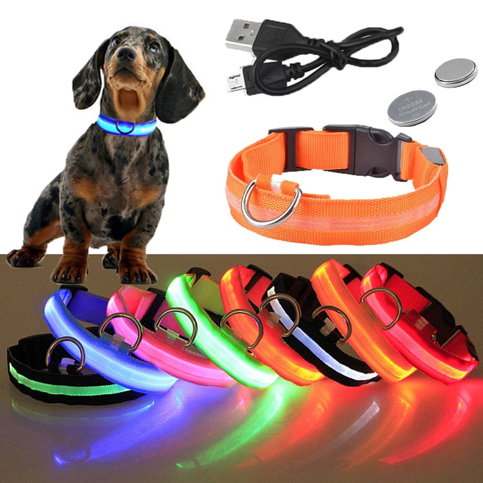 Nightlight Glowing LED Collar