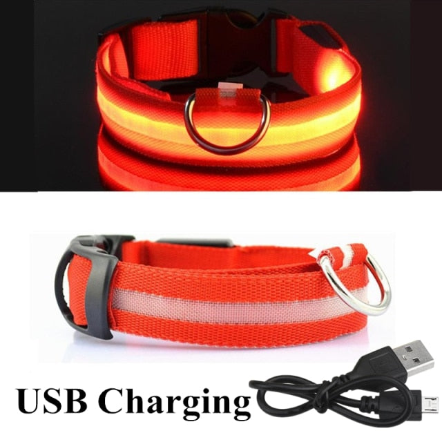 Nightlight Glowing LED Collar