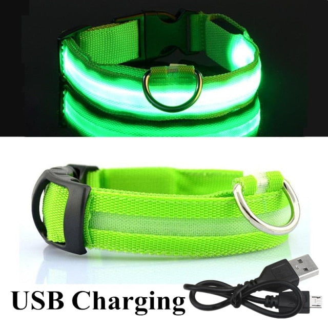 Nightlight Glowing LED Collar