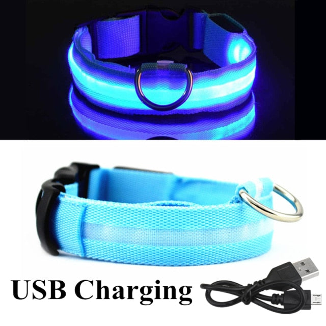 Nightlight Glowing LED Collar