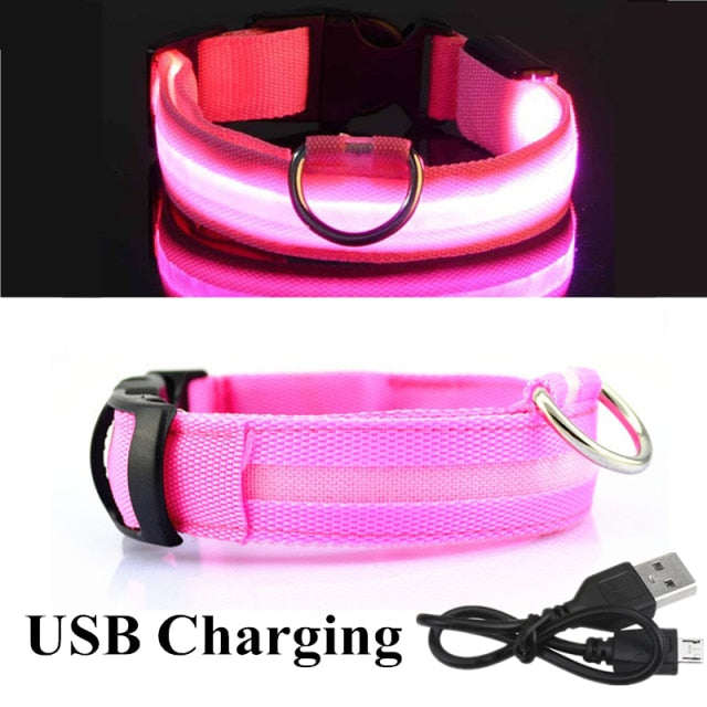 Nightlight Glowing LED Collar