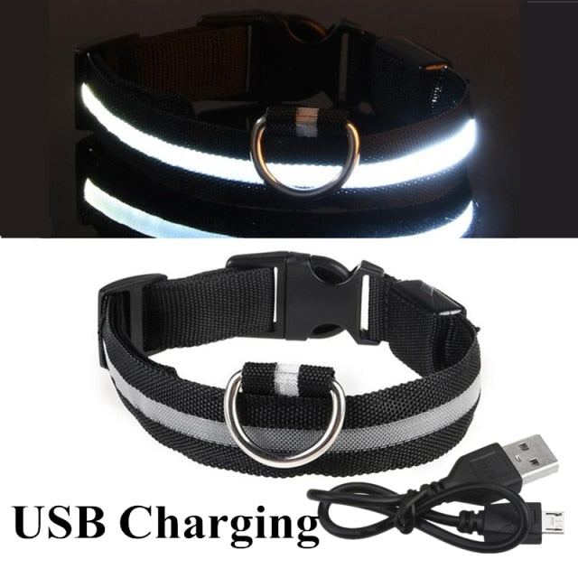 Nightlight Glowing LED Collar