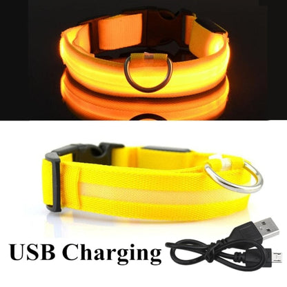 Nightlight Glowing LED Collar