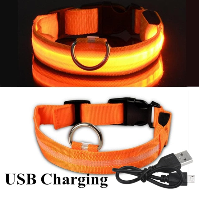 Nightlight Glowing LED Collar