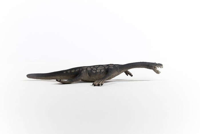 Nothosaurus