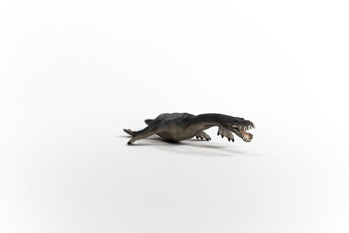 Nothosaurus