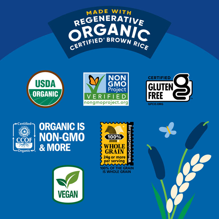 Organic Sea Salt Rice Cake Minis